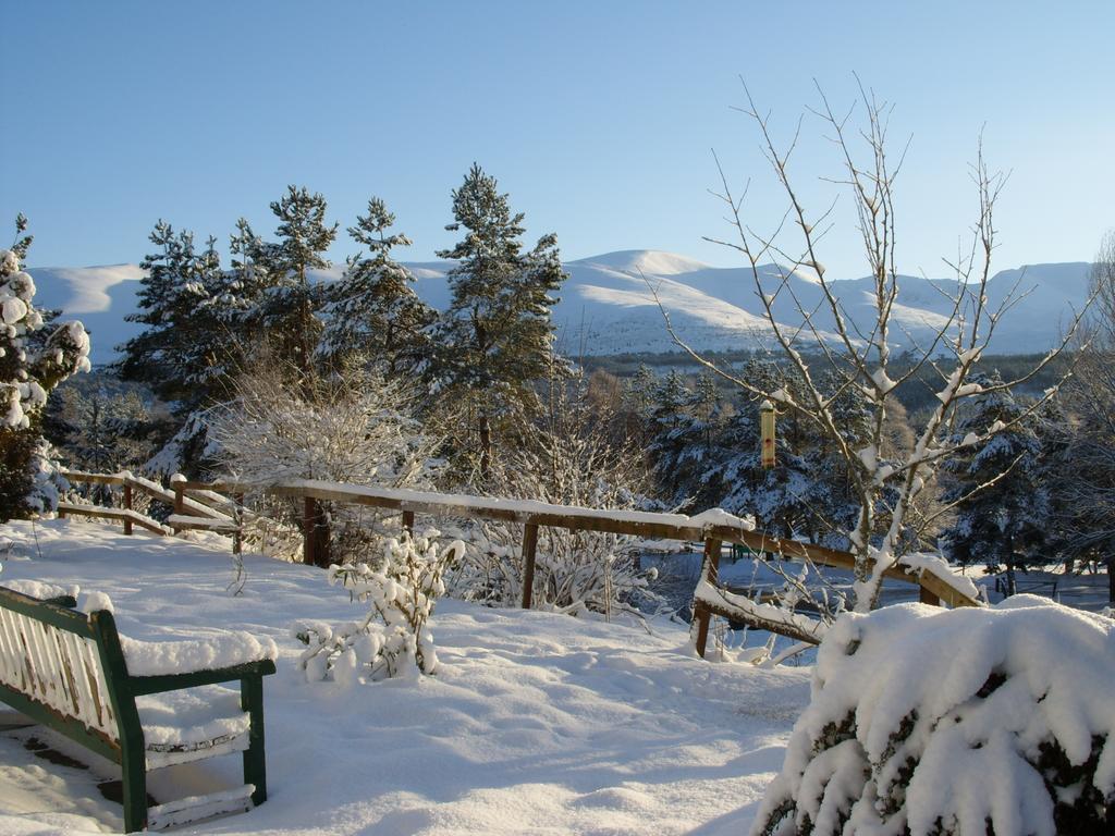 Cairngorm Lodge Youth Hostel Loch Morlich Εξωτερικό φωτογραφία