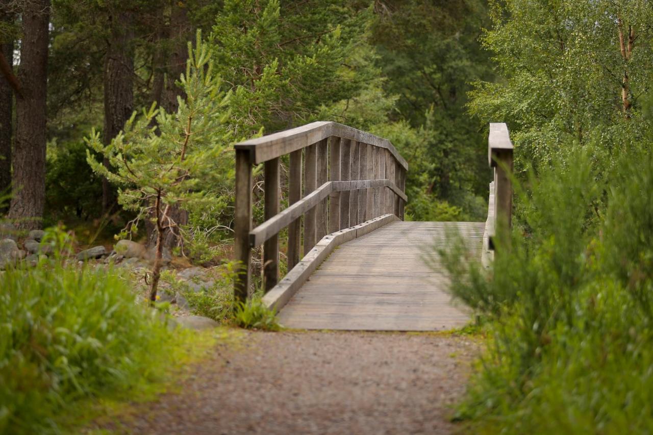 Cairngorm Lodge Youth Hostel Loch Morlich Εξωτερικό φωτογραφία