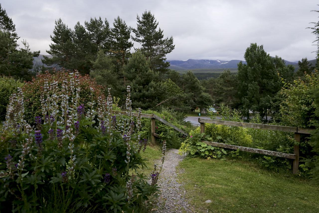 Cairngorm Lodge Youth Hostel Loch Morlich Εξωτερικό φωτογραφία