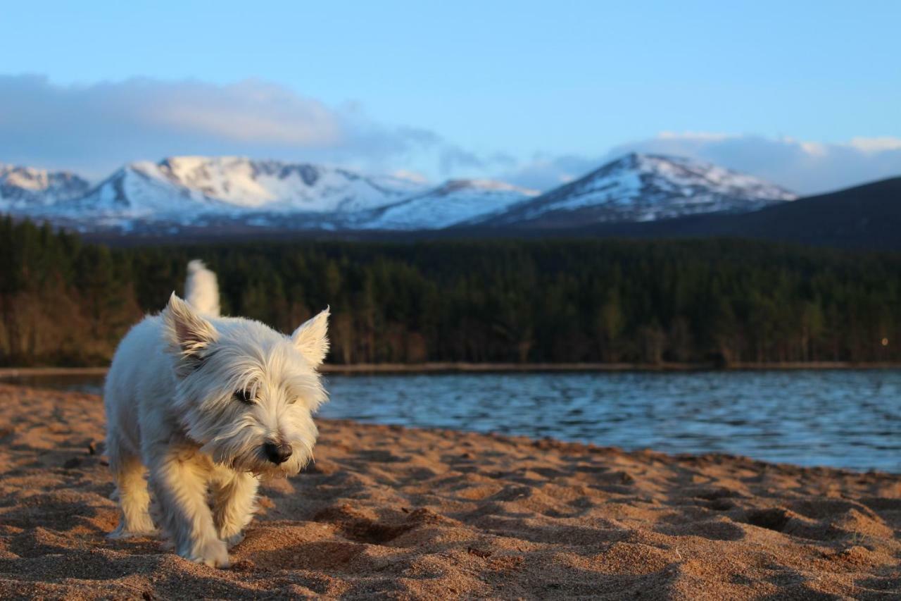 Cairngorm Lodge Youth Hostel Loch Morlich Εξωτερικό φωτογραφία