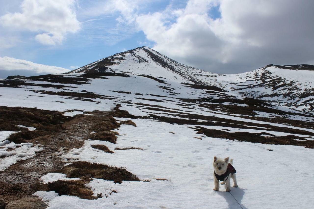 Cairngorm Lodge Youth Hostel Loch Morlich Εξωτερικό φωτογραφία